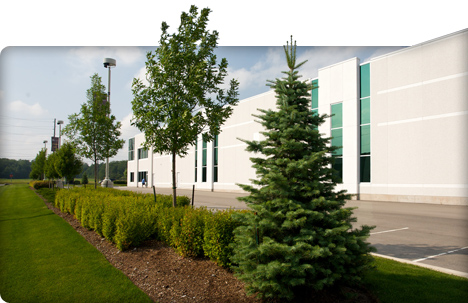 Commercial landscape property