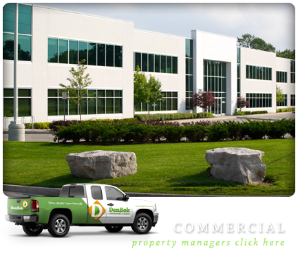 Commercial Landscaping