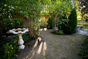 Incorporating Naturalized Spaces Into Your Garden