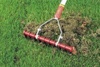 manual lawn dethatching rake