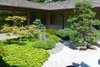 Japanese Garden