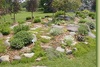 Rock Garden