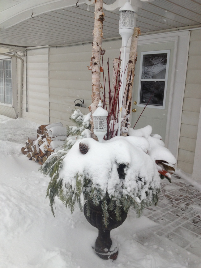 Winter Planter