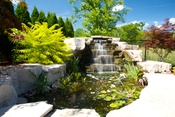 Oakville landscape project gallery